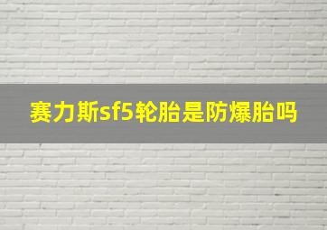 赛力斯sf5轮胎是防爆胎吗