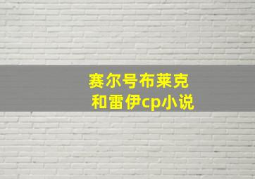 赛尔号布莱克和雷伊cp小说