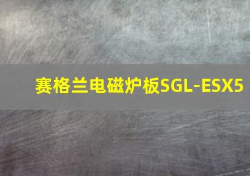 赛格兰电磁炉板SGL-ESX5