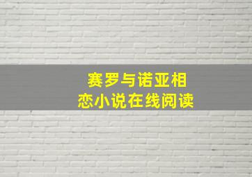 赛罗与诺亚相恋小说在线阅读