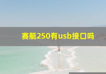 赛艇250有usb接口吗