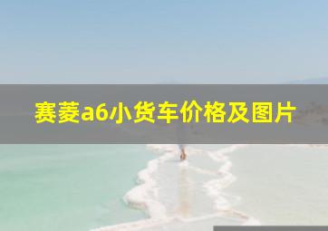 赛菱a6小货车价格及图片