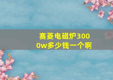 赛菱电磁炉3000w多少钱一个啊