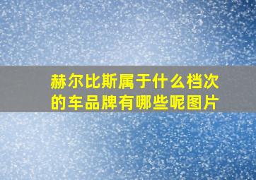 赫尔比斯属于什么档次的车品牌有哪些呢图片