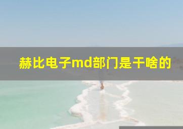 赫比电子md部门是干啥的