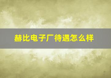 赫比电子厂待遇怎么样