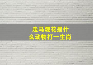 走马观花是什么动物打一生肖