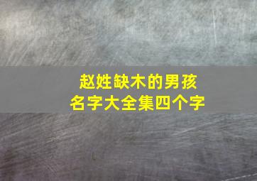 赵姓缺木的男孩名字大全集四个字