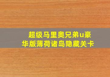 超级马里奥兄弟u豪华版薄荷诸岛隐藏关卡