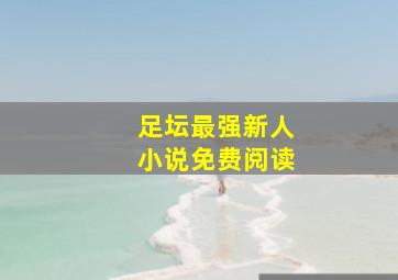 足坛最强新人小说免费阅读