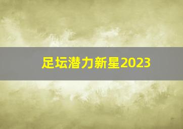 足坛潜力新星2023