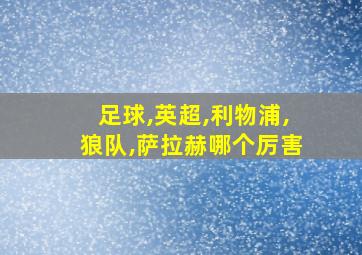 足球,英超,利物浦,狼队,萨拉赫哪个厉害