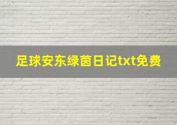 足球安东绿茵日记txt免费