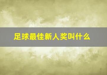 足球最佳新人奖叫什么