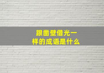 跟凿壁借光一样的成语是什么