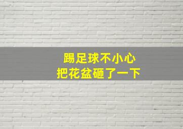 踢足球不小心把花盆砸了一下