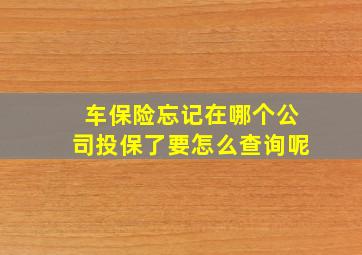 车保险忘记在哪个公司投保了要怎么查询呢