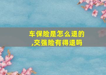 车保险是怎么退的,交强险有得退吗