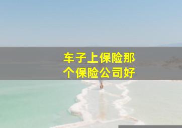 车子上保险那个保险公司好