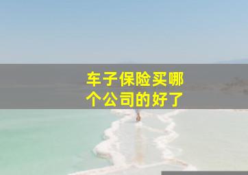 车子保险买哪个公司的好了