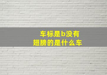 车标是b没有翅膀的是什么车