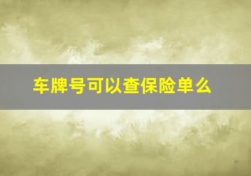 车牌号可以查保险单么