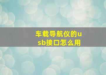 车载导航仪的usb接口怎么用