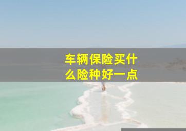 车辆保险买什么险种好一点