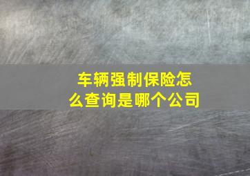 车辆强制保险怎么查询是哪个公司