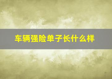 车辆强险单子长什么样