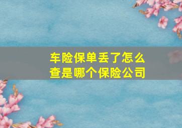 车险保单丢了怎么查是哪个保险公司