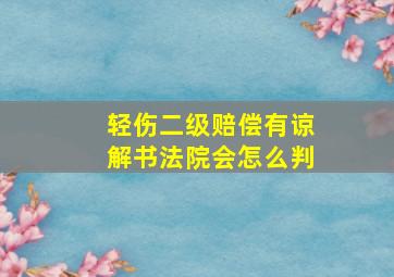 轻伤二级赔偿有谅解书法院会怎么判