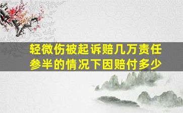 轻微伤被起诉赔几万责任参半的情况下因赔付多少