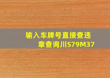 输入车牌号直接查违章查询川S79M37