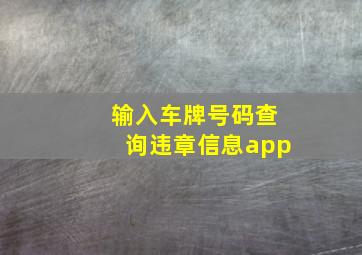 输入车牌号码查询违章信息app