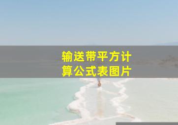 输送带平方计算公式表图片