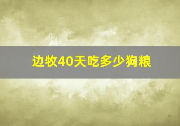 边牧40天吃多少狗粮