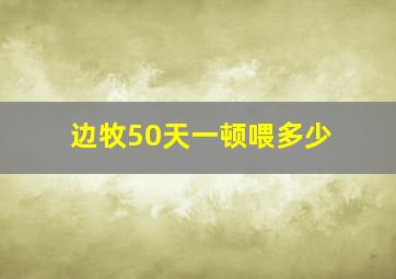 边牧50天一顿喂多少