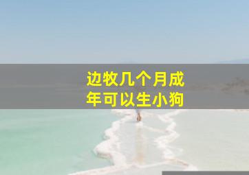 边牧几个月成年可以生小狗