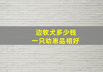 边牧犬多少钱一只幼崽品相好