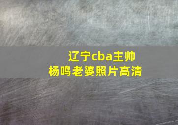 辽宁cba主帅杨鸣老婆照片高清