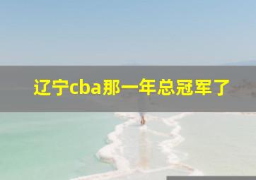 辽宁cba那一年总冠军了