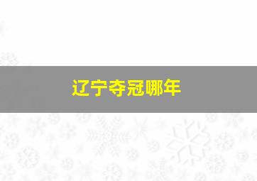 辽宁夺冠哪年