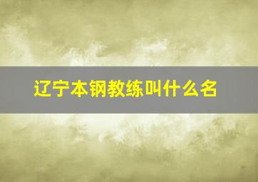 辽宁本钢教练叫什么名