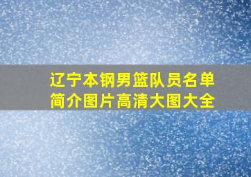 辽宁本钢男篮队员名单简介图片高清大图大全