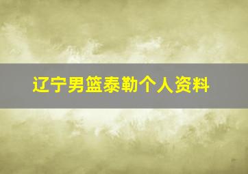 辽宁男篮泰勒个人资料