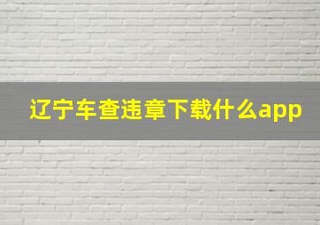 辽宁车查违章下载什么app