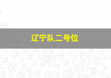 辽宁队二号位