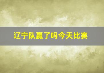 辽宁队赢了吗今天比赛