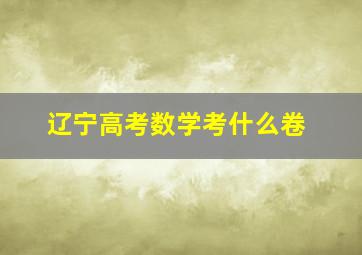 辽宁高考数学考什么卷